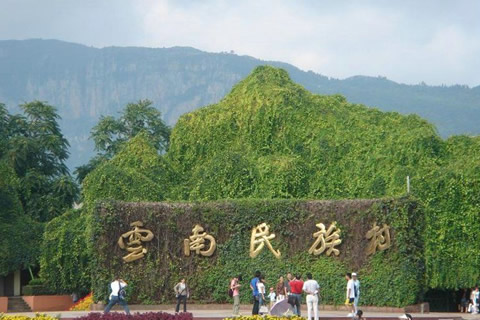 2021ǿ֮Ӫ12죩