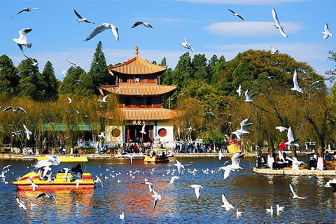 2021Сӥ֮޻Ӫ8죩